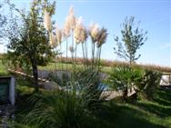View of Pool