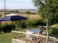 View from garden